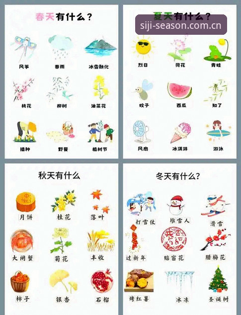 四季App使用教程：从入门到精通的实用指南